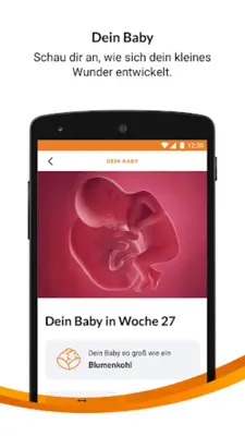 DAK Schwangerschaftscoaching android App screenshot 3